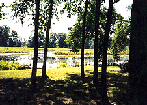 Channel House Picture